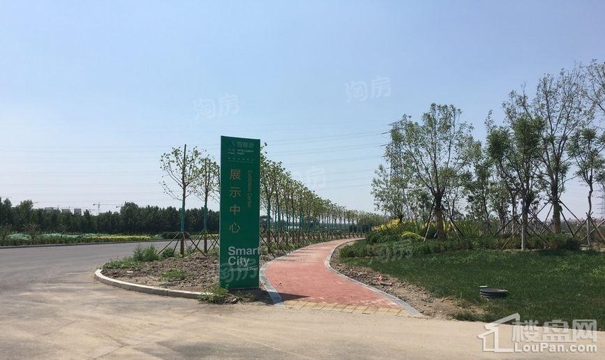 实景图