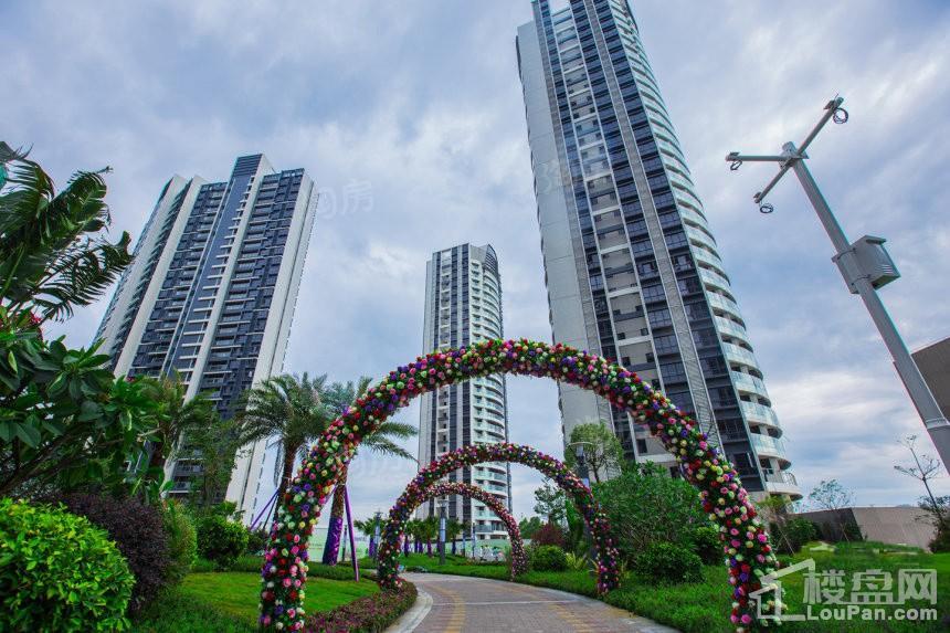 阳光城·丽景湾实景图