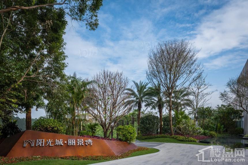 阳光城·丽景湾实景图