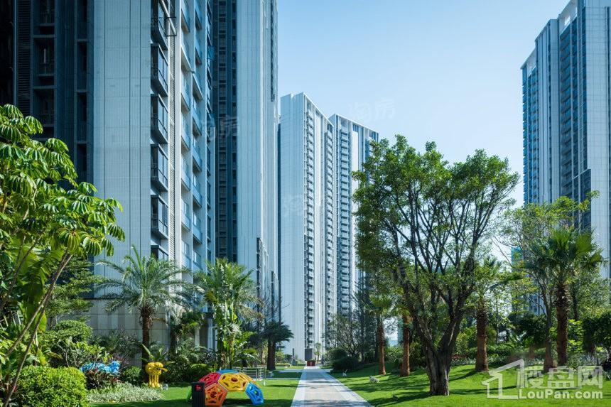 阳光城·丽景湾实景图