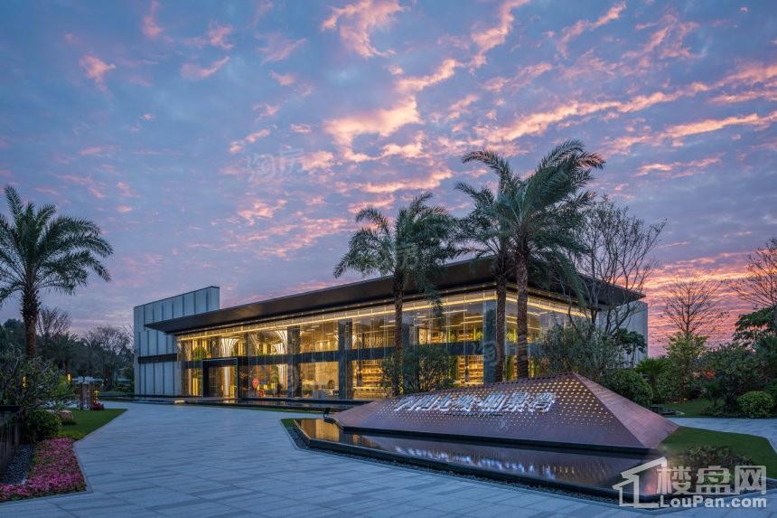 阳光城·丽景湾实景图