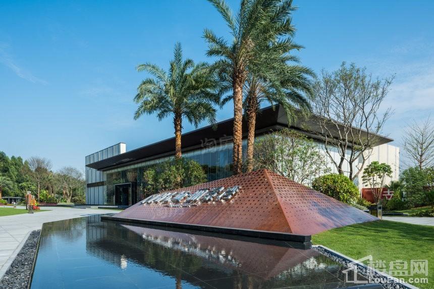 阳光城·丽景湾实景图