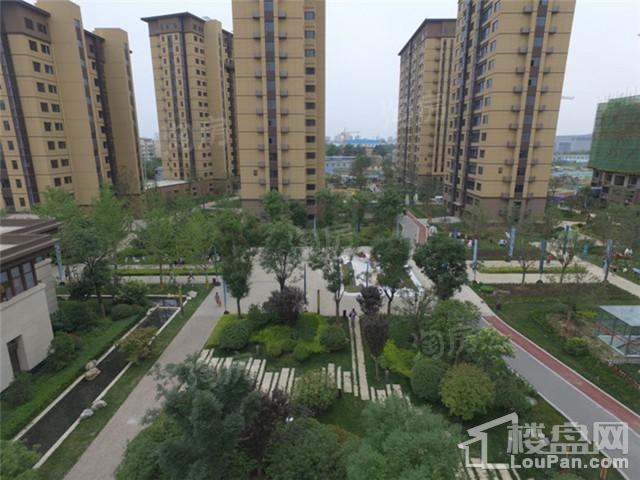 宝安紫韵实景图