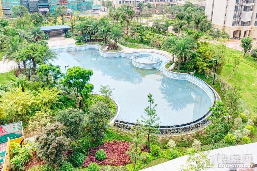实景图