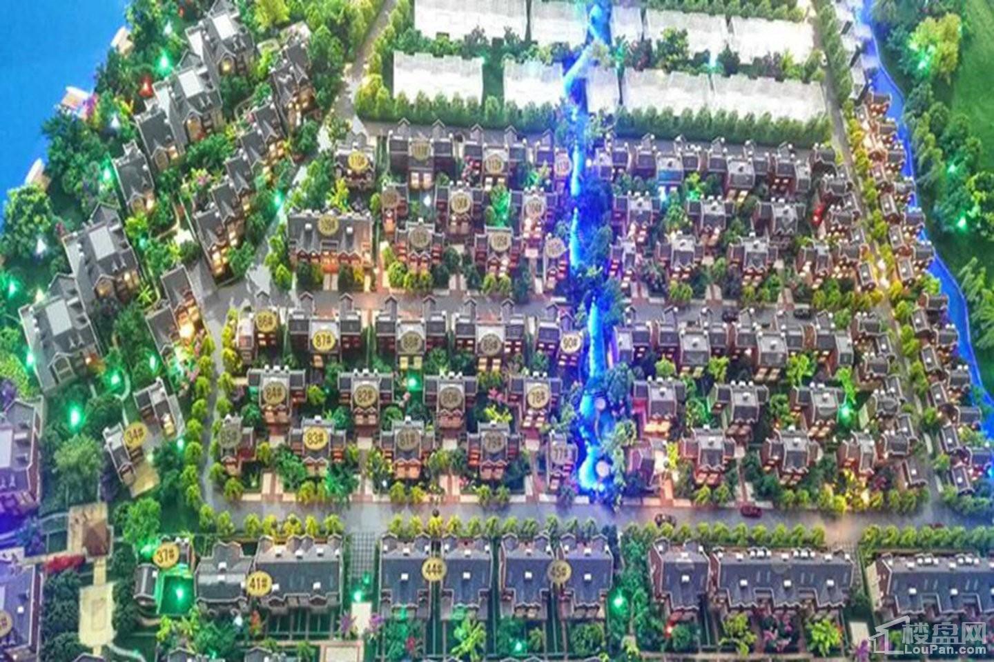 实景图