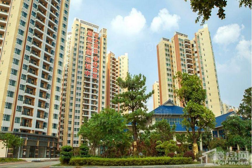 实景图