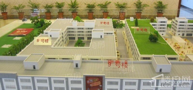 实景图