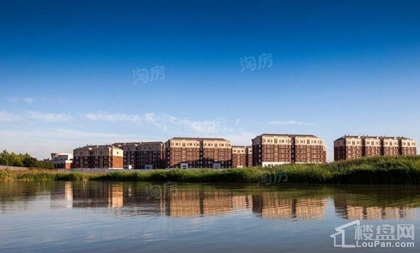 实景图