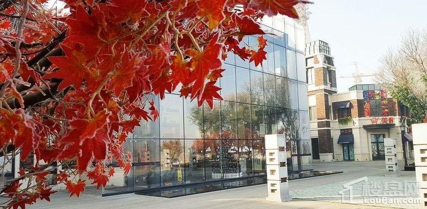 旭辉燕南园实景图