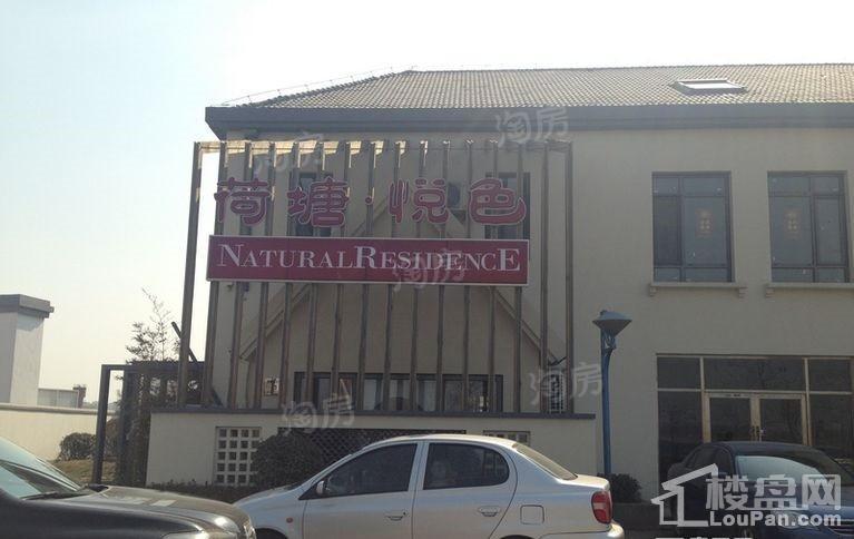 荷塘悦色实景图
