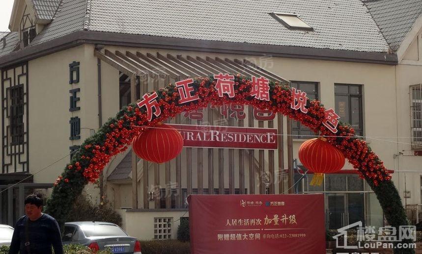 荷塘悦色实景图