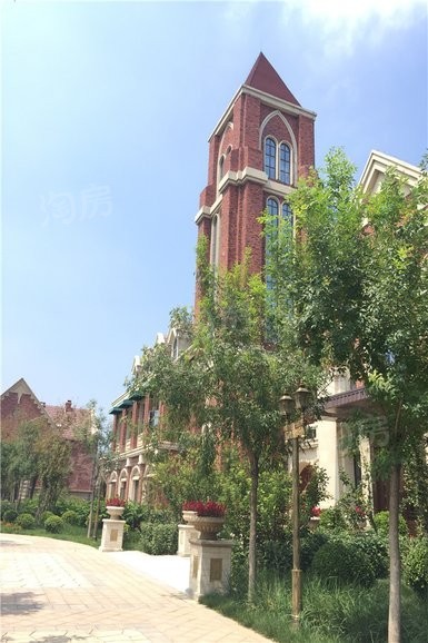 实景图