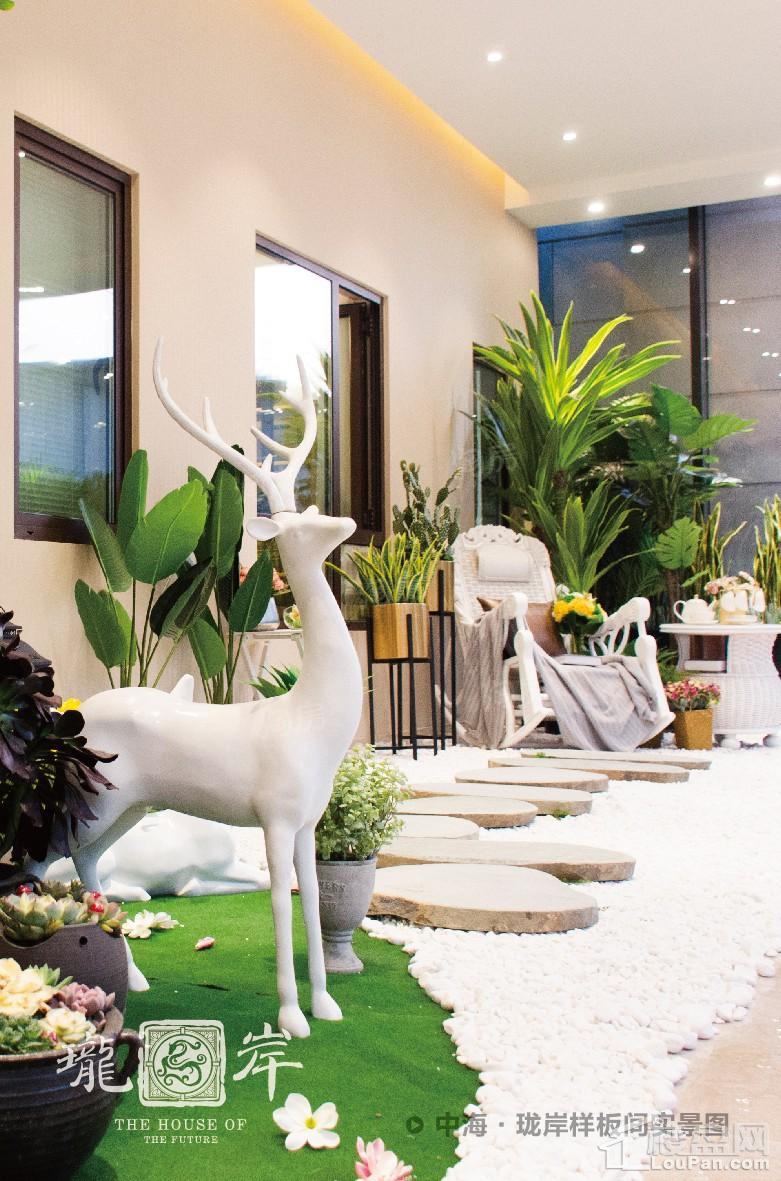 中海珑岸实景图