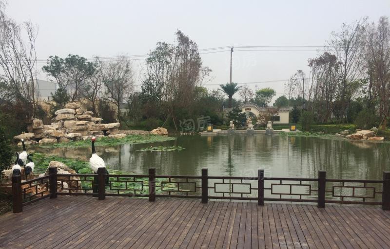 实景图