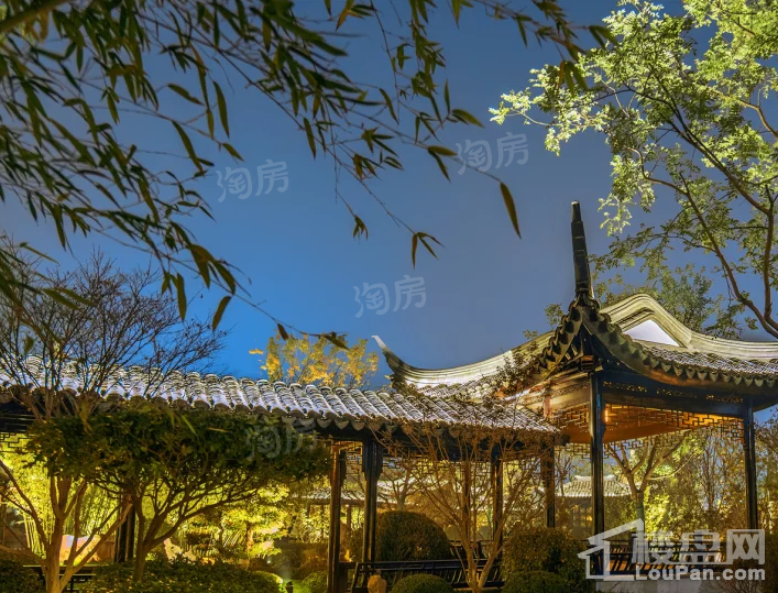 实景图