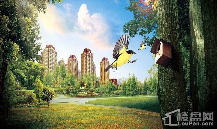 天房天拖三期效果图