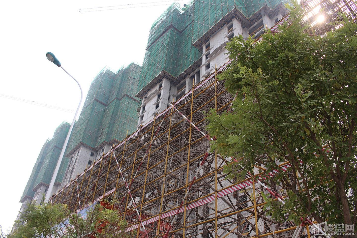 天房美棠实景图