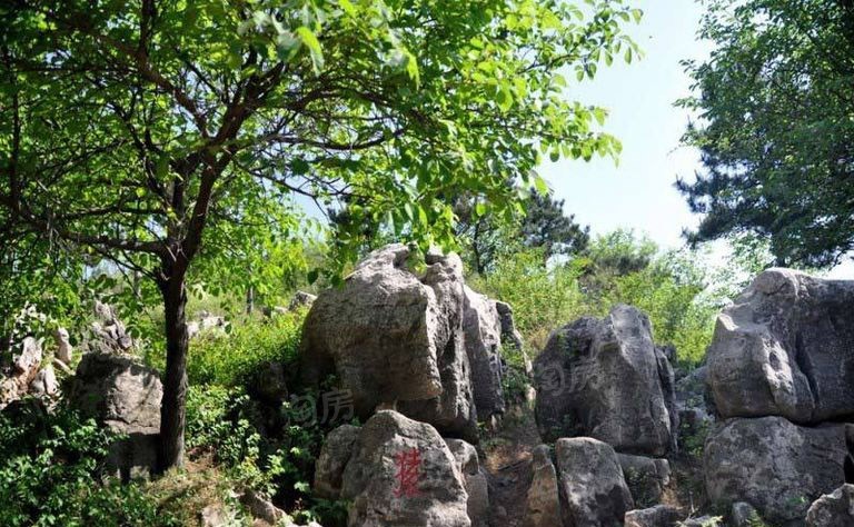 配套图