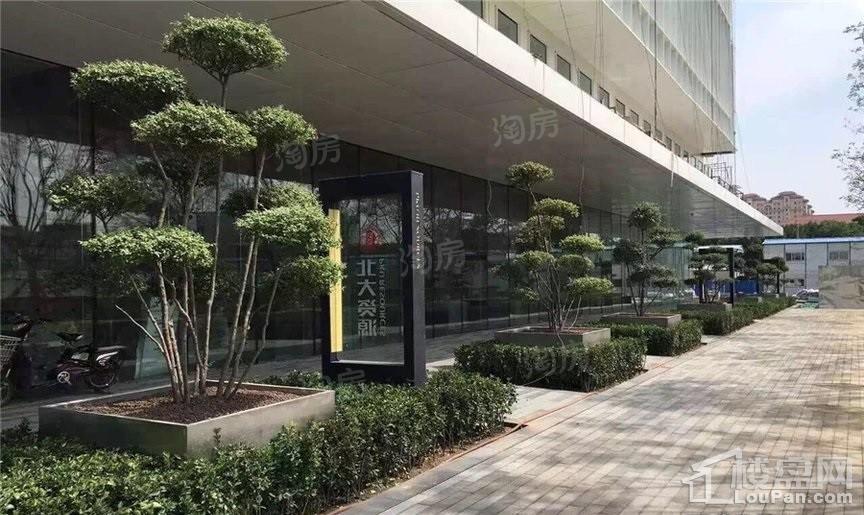 实景图