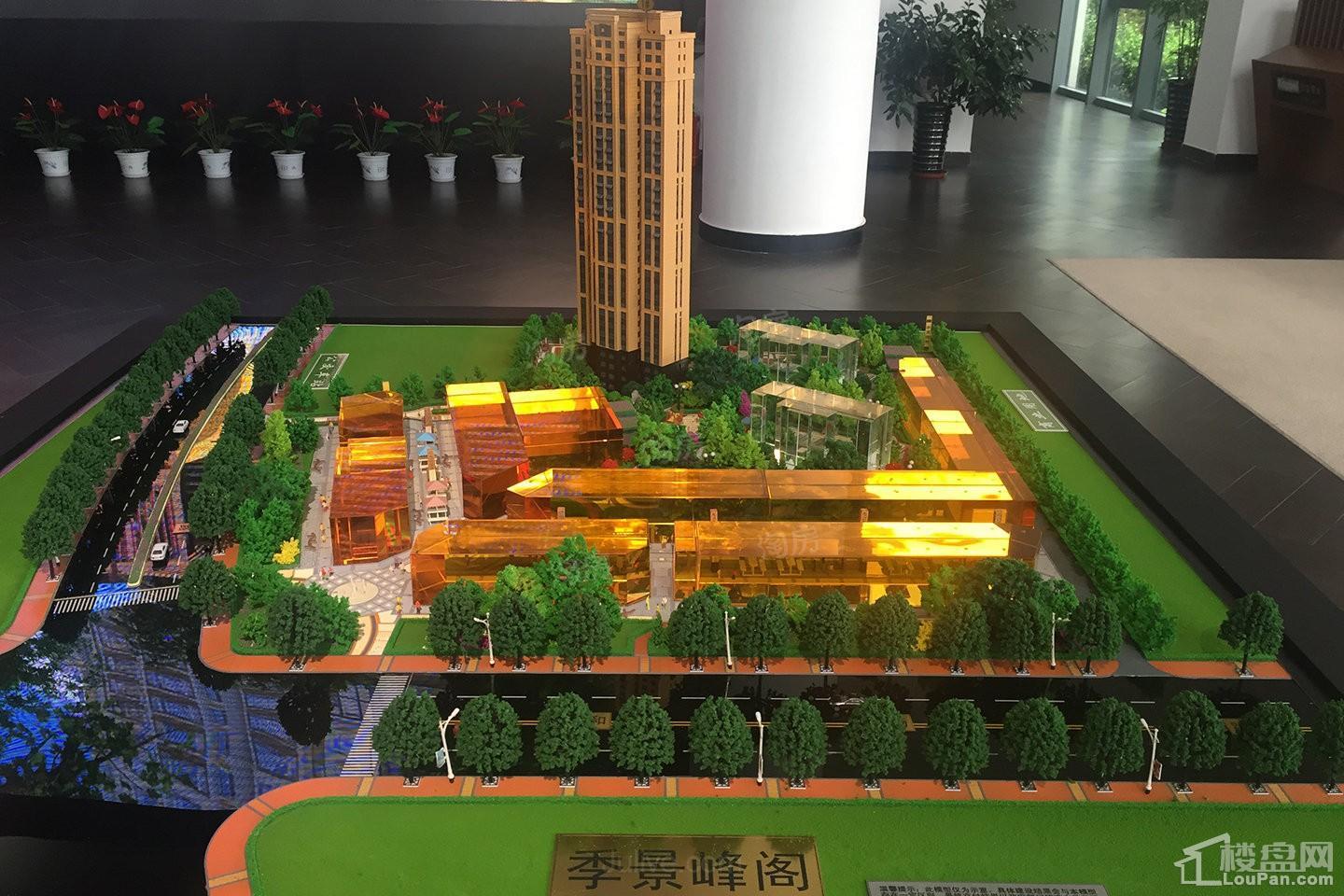 实景图