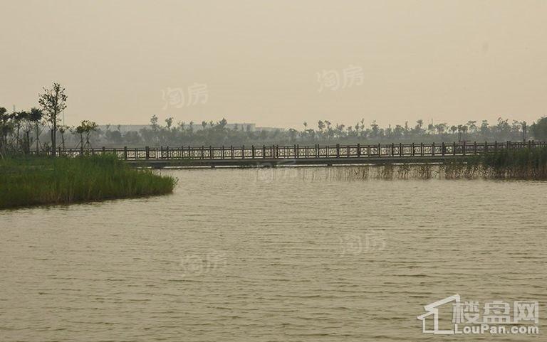 海泰渤龙湾配套图