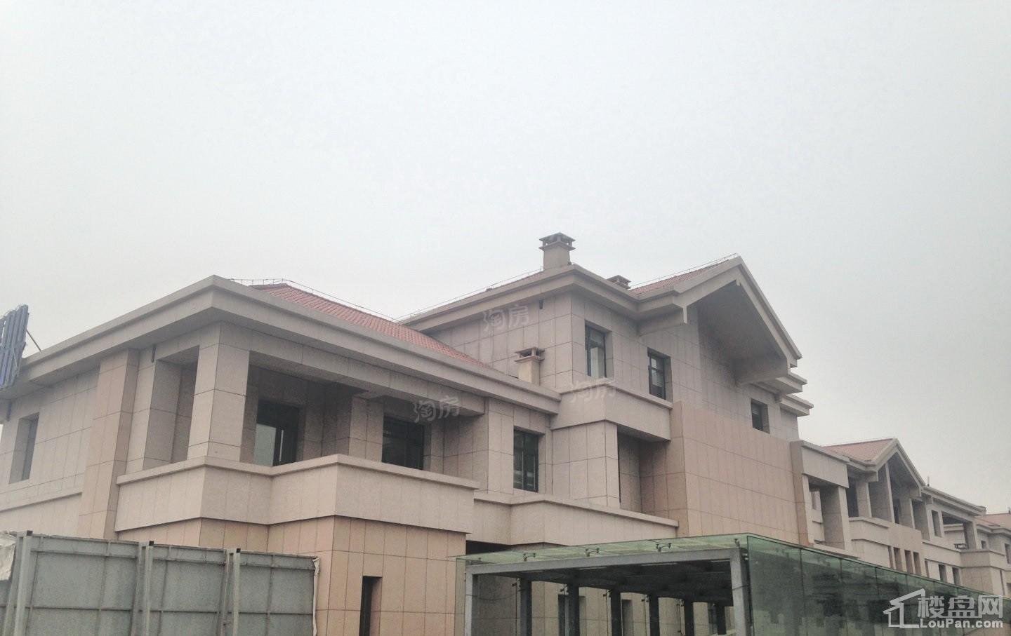 听海蓝珊实景图