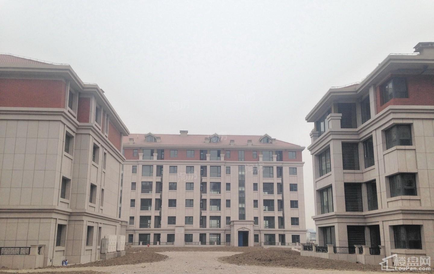 听海蓝珊实景图