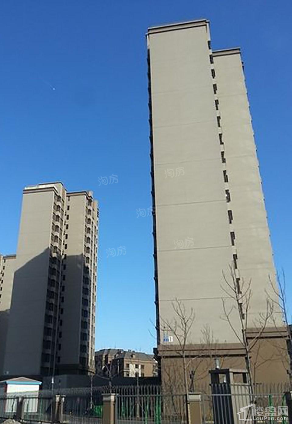 实景图