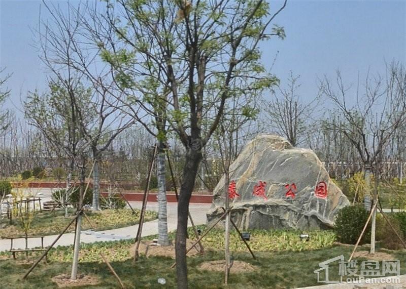 万科金域国际配套图