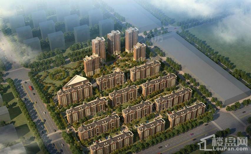 实景图
