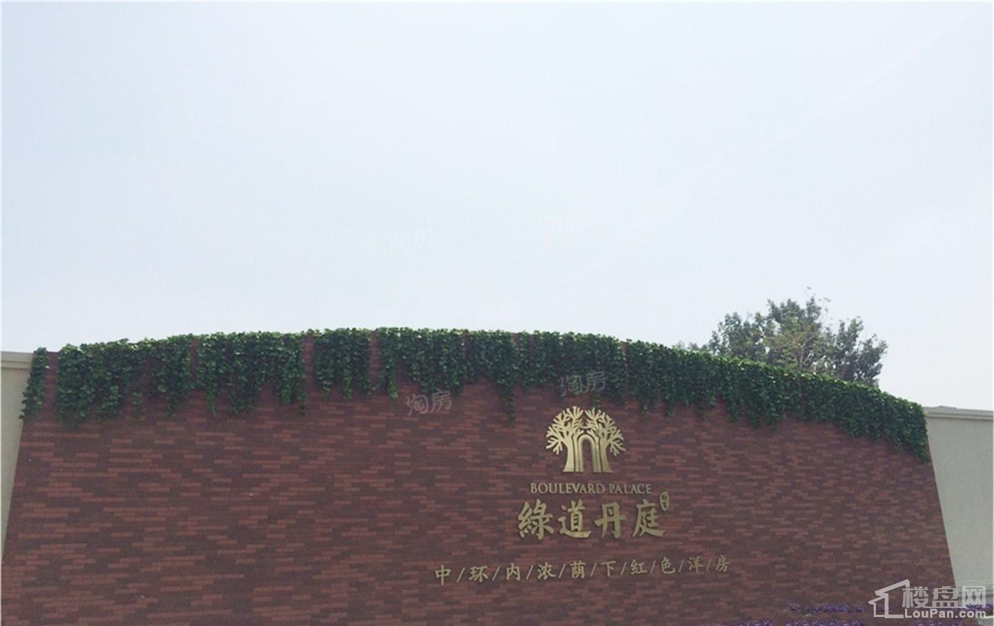 实景图