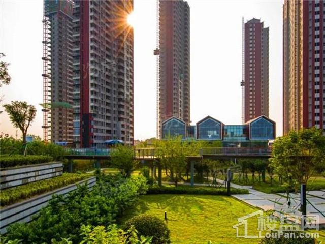 陆港·滨海湾实景图