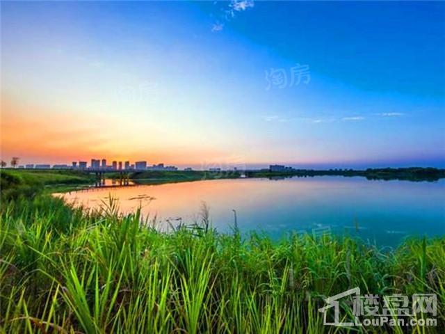 陆港·滨海湾配套图