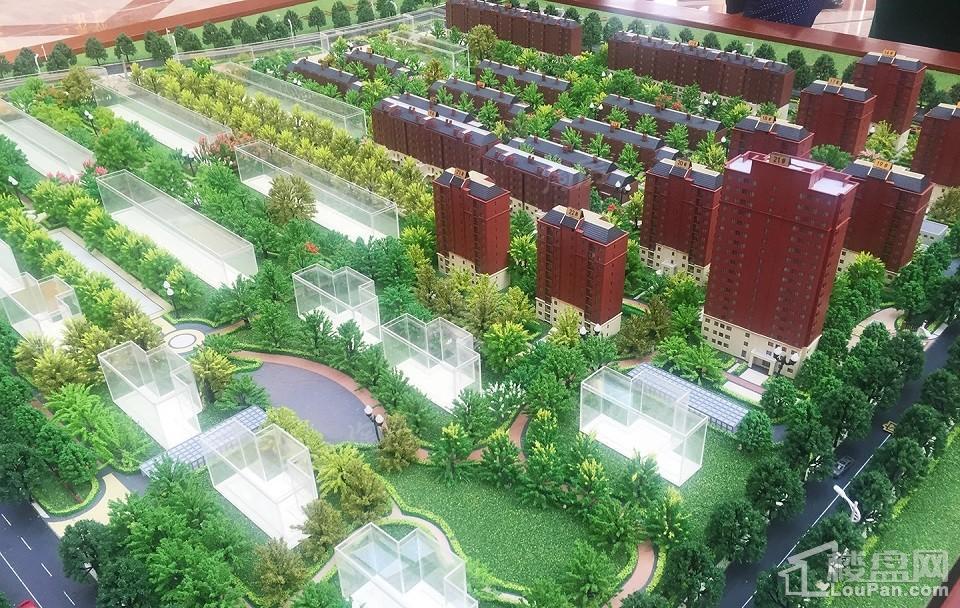 实景图