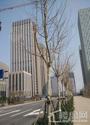 新岸大厦实景图