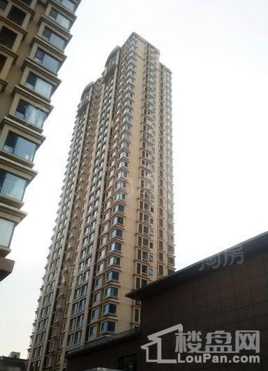 中山八号中山8克拉实景图
