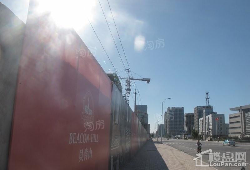 实景图