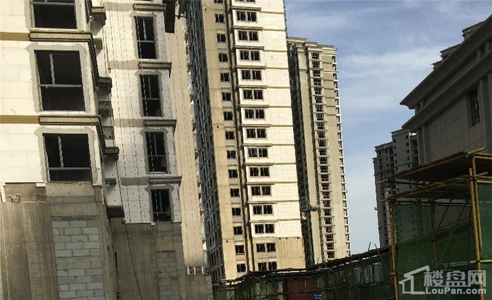 实景图