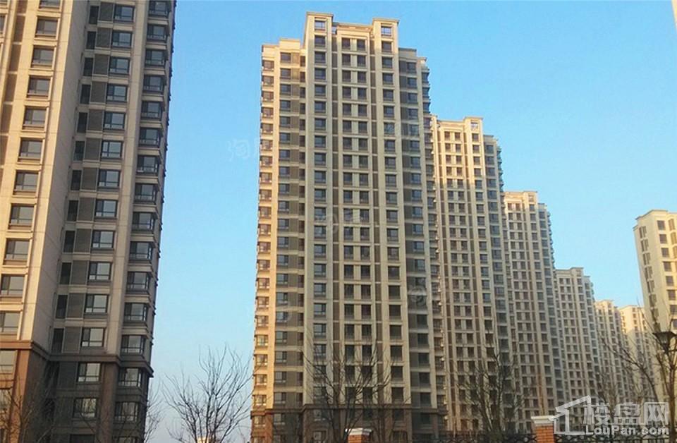 海泰海港花园实景图