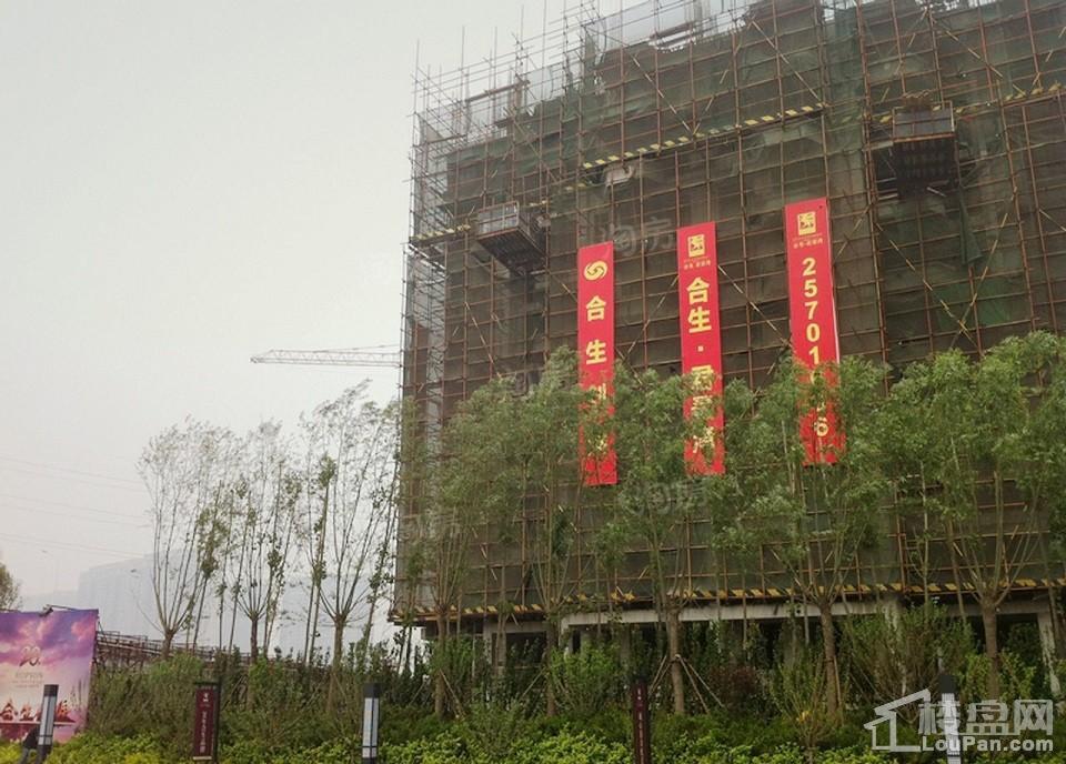 实景图