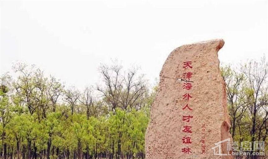 配套图