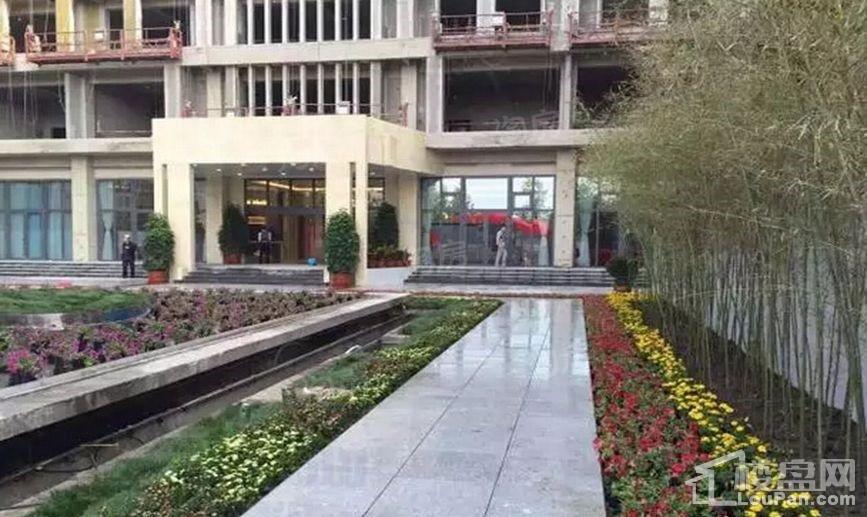 实景图