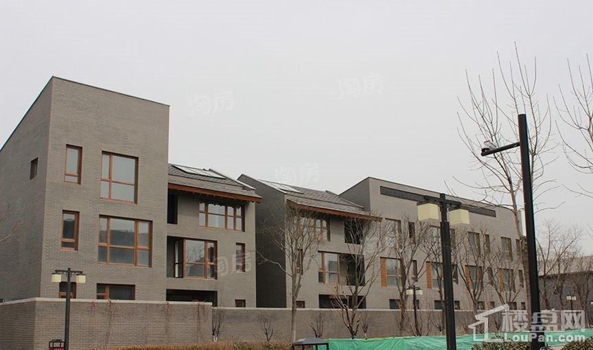 北塘古镇别墅实景图