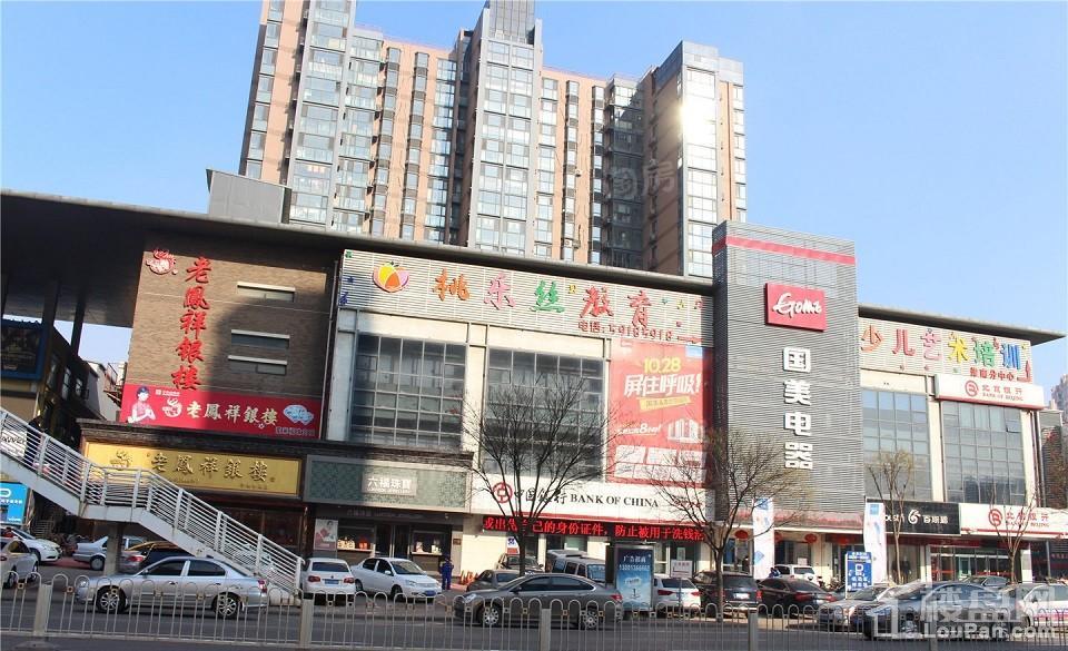 蓝光雍锦香颂配套图