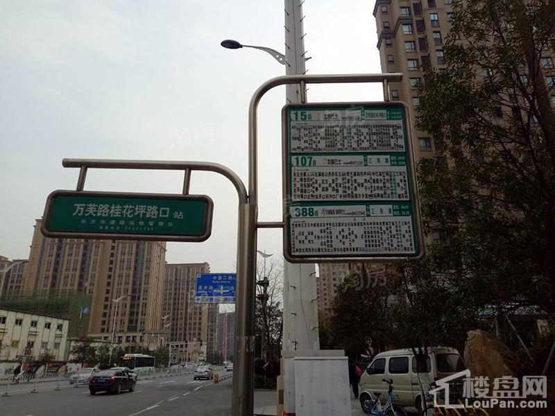 旭辉华宇南宸府实景图