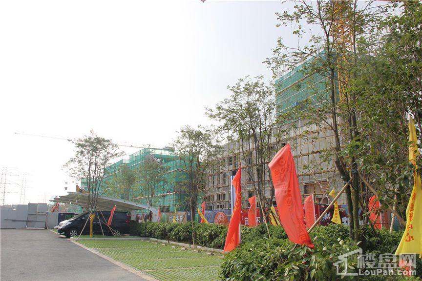 金龙城财富广场实景图