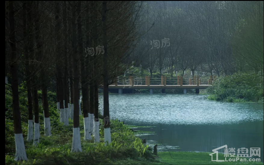龙湖·九里晴川配套图