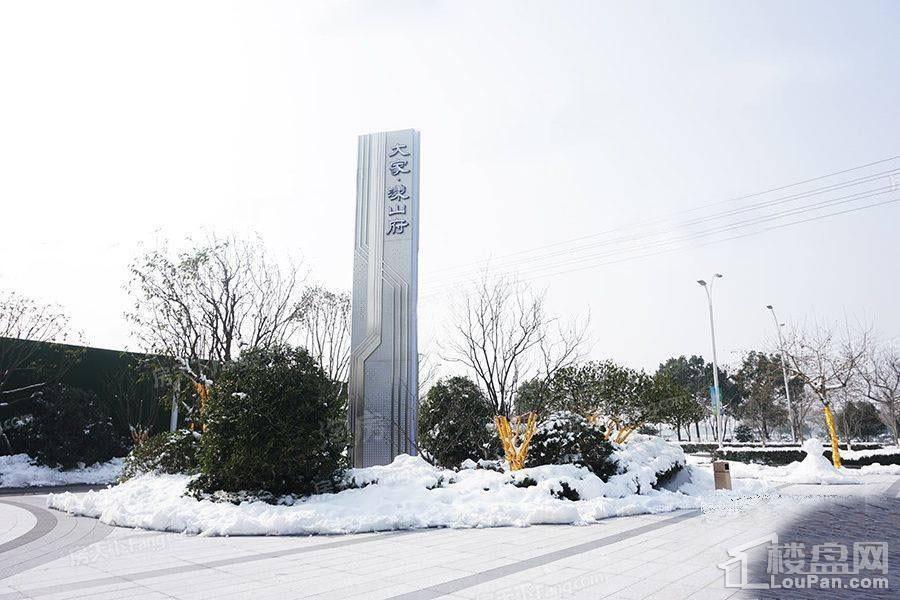 大家·漾山府效果图