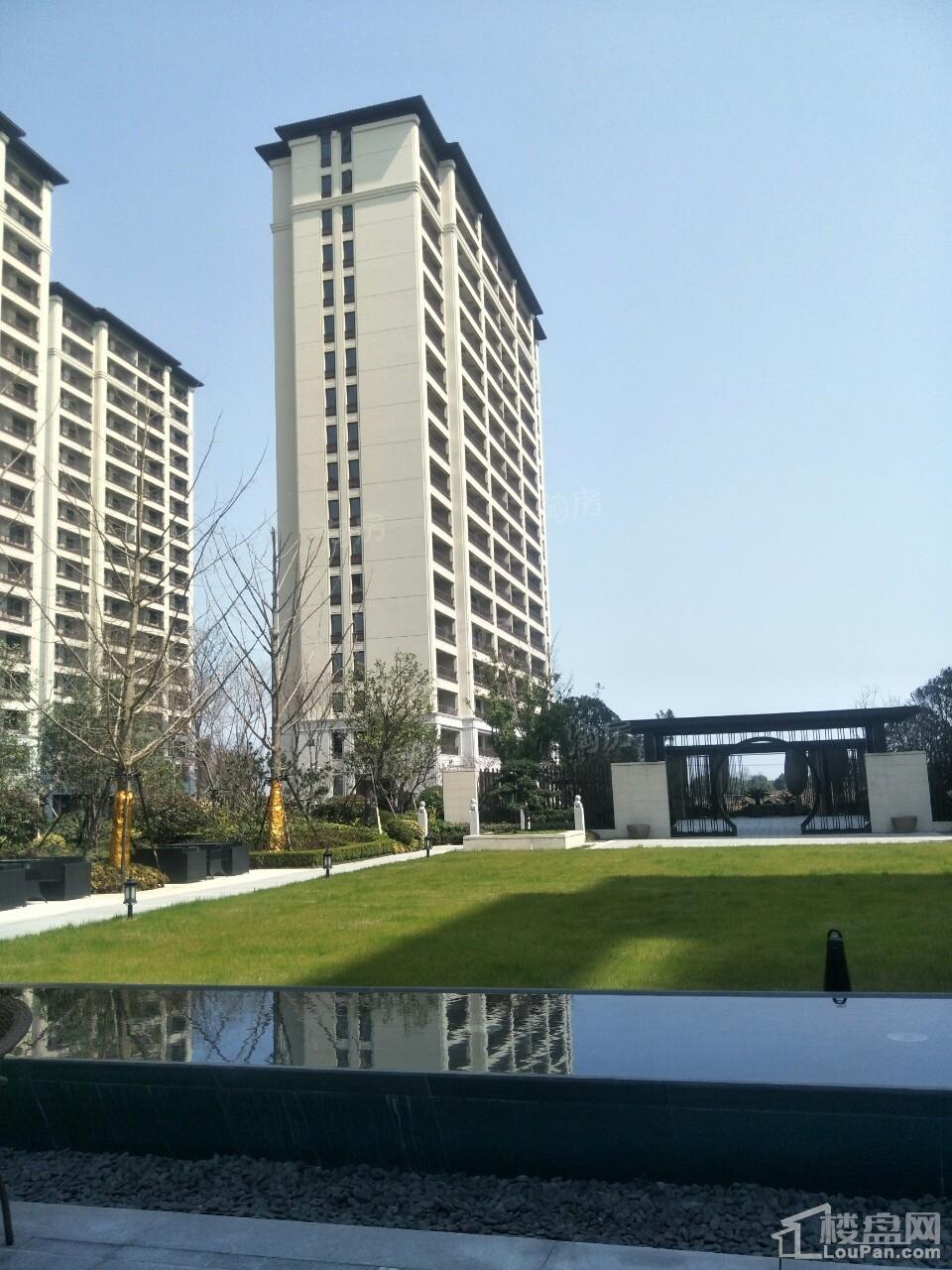 实景图