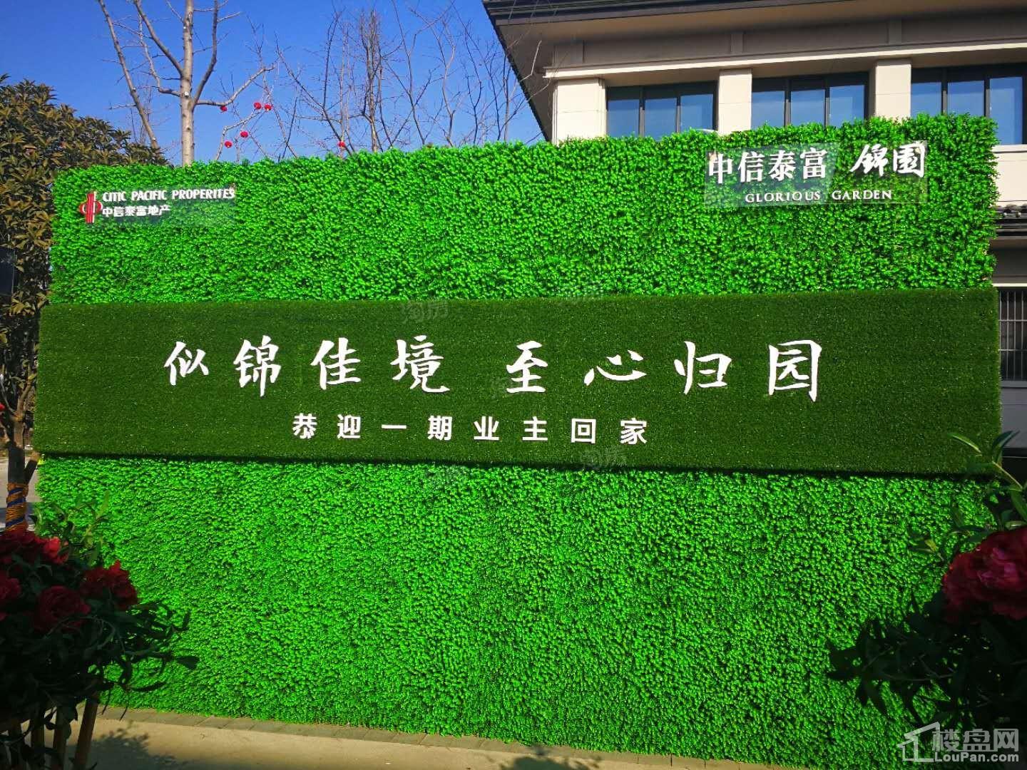 中信泰富锦园实景图